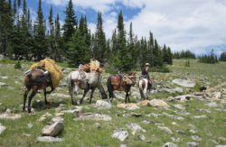 best-drop-trip-outfitter-wyoming