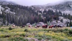 best-drop-trip-service-bighorn-mountains-wyoming