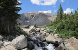 best-high-country-fishing-guide-wyoming