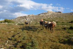 best-pack-trip-service-bighorn-mountains-wyoming