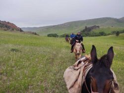 book-pack-trip-wyoming