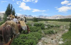 drop-trip-guide-bighorn-mountains-wy