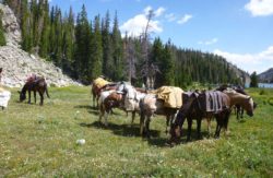 drop-trip-guide-bighorn-mountains-wyoming