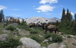 drop-trip-outfitter-guide-bighorn-mountains-wyoming