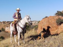 horseback-trip-dog