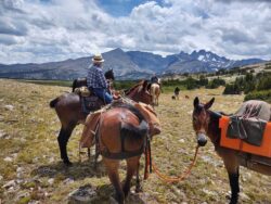 pack-trip-mountains