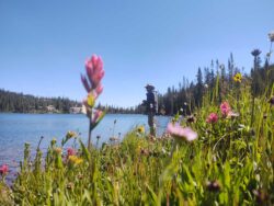 wy-fishing-scenery