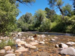 wyoming-clear-river-scenery