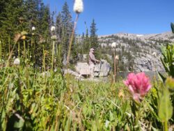 wyoming-fishing-scenery