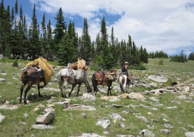 great-trout-fishing-bighorn-mountains-wyoming